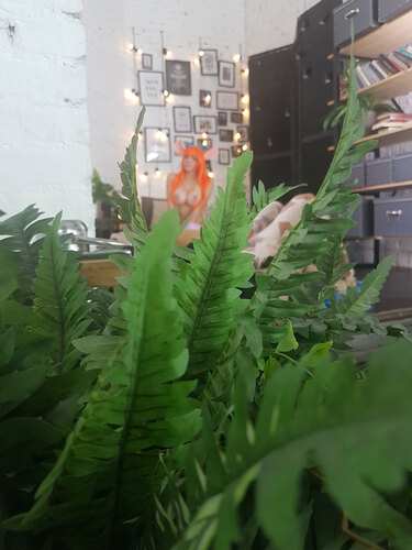 ced466e42823137b9cff385b1a6a85b557e82e38fc97d2d9792e73838c45eca8 thumbnail