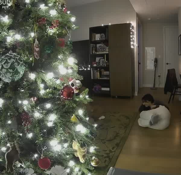 622547243337b7235cfecb94b1fb216fdb9ddb7cef52b6e2b9190f519ad0dfa4 thumbnail