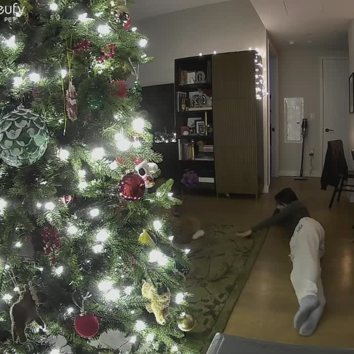 b56fbd9bcabe43e18910cebfe5589cca58d7fc377c076ed9fd6902b1e5088880 thumbnail