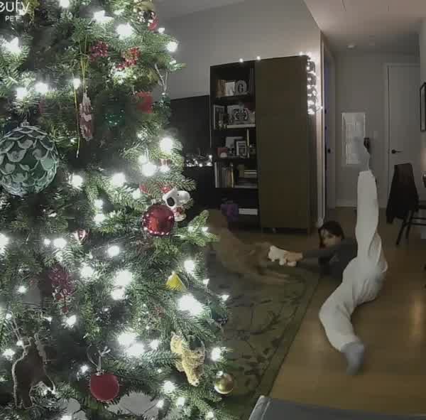 d95037c3c0309d892b23a102e2176a320a8418540b621a55922ebc360b265e36 thumbnail