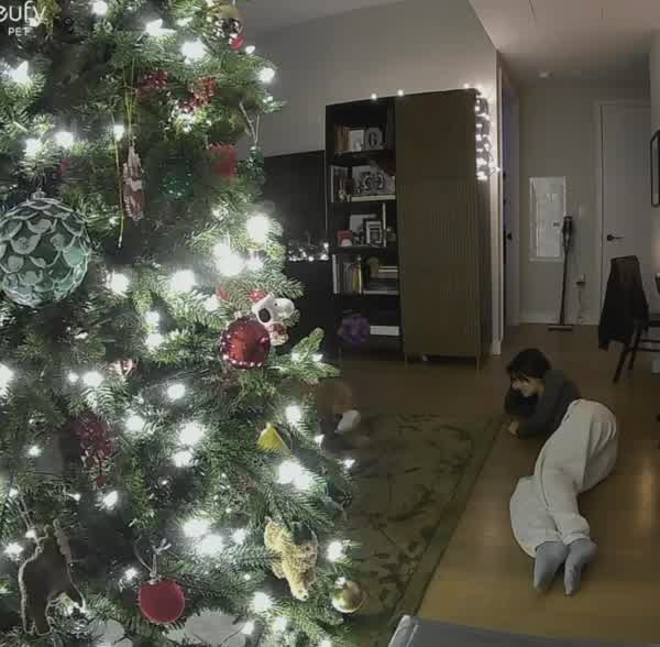 e65e9fb25eda13fdcaffb3fb51e72822cd49ebe1de988bac469ec2d80f028227 thumbnail