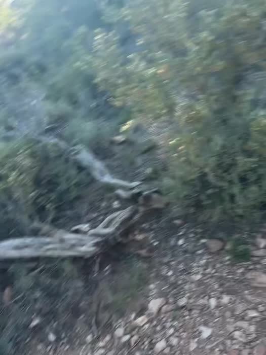 Sammi Hanratty Cute Celeb Nudes - Sammi Hanratty Bikini Videos