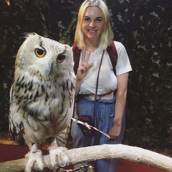 9c0b69838c6492405012ef06b888b2e8c858381d7497227310d14574f027aab9 thumbnail