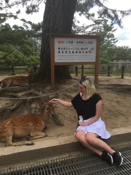 c6df582201b5b5c8e4eeb21fd3c955e4fcb9ae1d2db4e7fc4f30058d45df30fb thumbnail