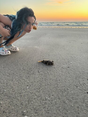 d25c3f8a141a982eee91d9e82a84491652a98d1aa368d84c9e93e1e7e58d2b76 thumbnail