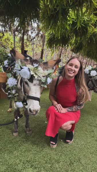 011cd36b618d592885a1f60a8f3d692a1a9e0226d828ab6a1075b5623ed3c642 thumbnail