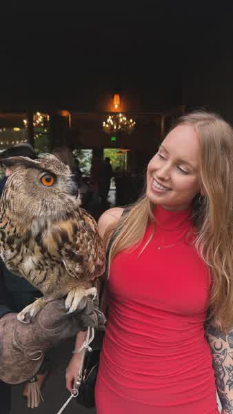 71c16077b6d9b171a15953ade2050c29de258a1a8d71980be4d00d737ae395de thumbnail