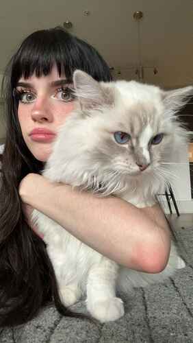 fb3f47f2ec9509bda6a4f2054e6fcf8ac678ed37a43564ced1b6481aef64dce8 thumbnail