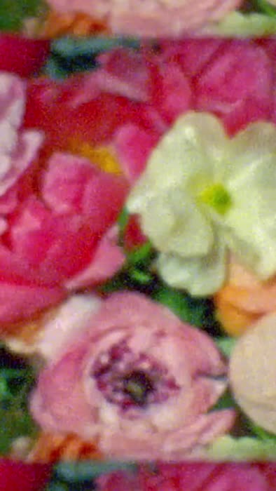 95980637cd08adb7b4ba41504896dff11abd1ca8bd1cdea4112b0bd2f26623bd thumbnail