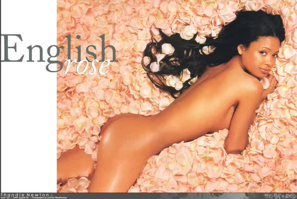 13b0120b471ab66deb425d1a6a4d36b01ae23bc8731e4e2cd99902ffb9c9f8d5 thumbnail