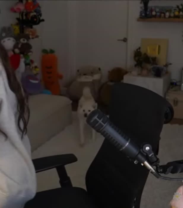 41822ea9bee99fbf39d876df27adcab2edbd1ea5276644537d7b25ae7f116ee6 thumbnail