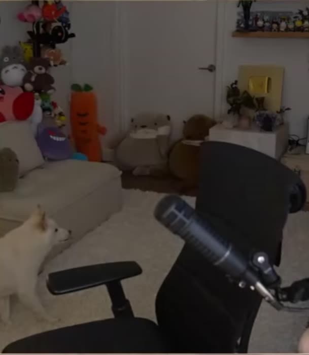 c93a8a99b0fe1a9ad47e4842889d004bc4c2af83905fc14a0341e14d22032751 thumbnail