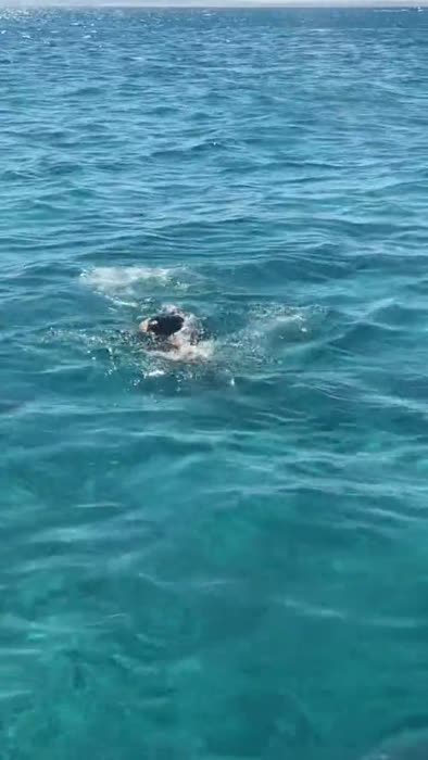 a1162753c1d4ad34846a084b246e2725f9f85f405115b53dd2f7ba70d29df837 thumbnail