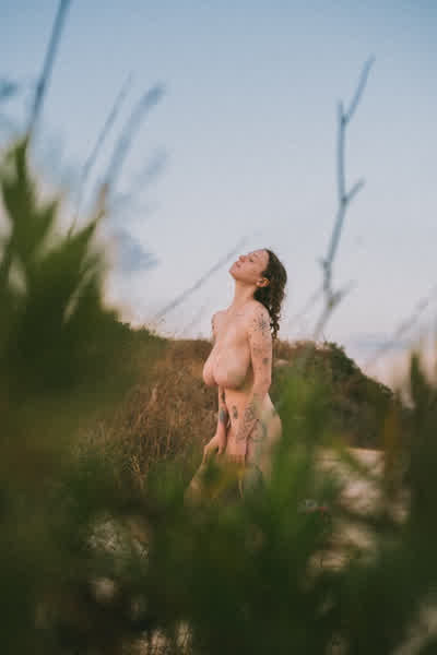 e184e78c0709173e91cba7e3967f8739407deff0321583fe8e11b25559fdc280 thumbnail